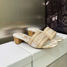 Christian Dior Slippers